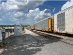 TTGX 708438